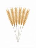 Golden Pampas Grass Vase Fillers