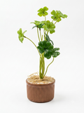 Artificial Clover Leaf Ribbed Pot Plant