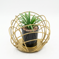 Elegant Gold Metal Plant